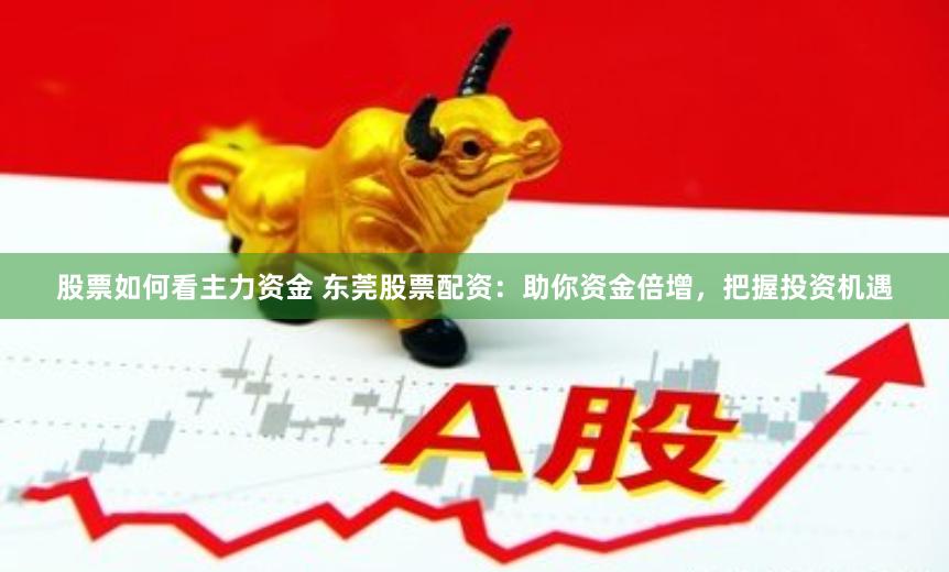 股票如何看主力资金 东莞股票配资：助你资金倍增，把握投资机遇